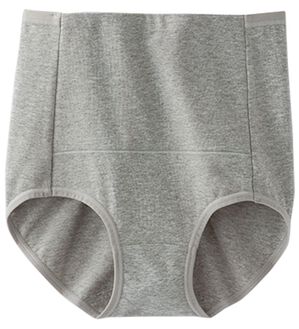 LAVIENNE（ラヴィエンヌ）の「綿９５％のお腹お尻すっぽりショーツ単品（ショーツ）」｜杢グレー