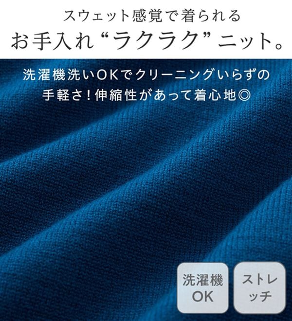 Viola e Viola（ヴィオラ エ ヴィオラ）の「【ゆったり着られる】洗える！ヘンリーネックニット（ニット・セーター）」｜詳細画像