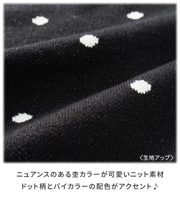 GeeRA（ジーラ）の「ドット柄ニットプルオーバー（ニット・セーター）」｜詳細画像