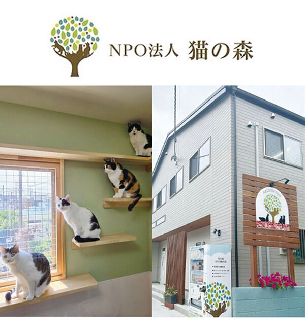 ルフラン（ルフラン）の「【２色組】「猫の毛が落ちやすい」冷感Ｔシャツ（Tシャツ）」｜詳細画像