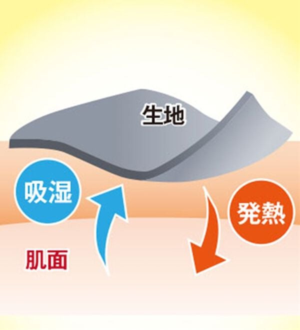 BELLUNA（ベルーナ）の「【メルティポンチ】配色リブ使いチュニック（チュニック）」｜詳細画像