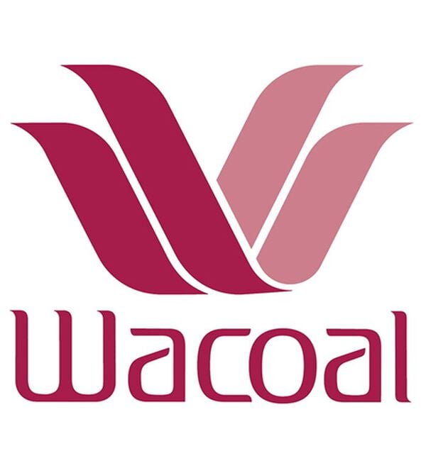 LAVIENNE（ラヴィエンヌ）の「＜ワコール＞Ｗｉｎｇ　Ｌｅｓｉａｇｅ（レシアージュ）やさしくフィット　ブラ（ブラジャー）」｜詳細画像