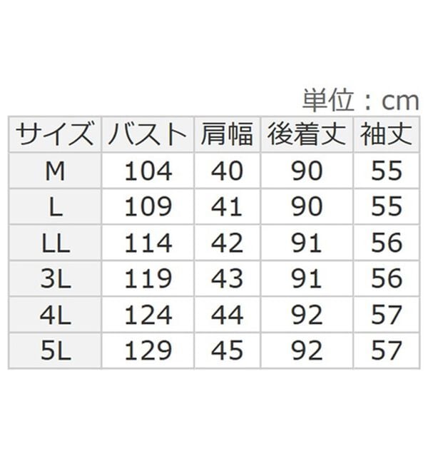 BELLUNA（ベルーナ）の「細見えストライプ切替チュニックワンピース（チュニックワンピース）」｜詳細画像