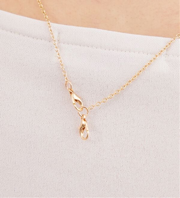 BELLUNA（ベルーナ）の「【2点セット】ジョーゼット素材ネックレス付ブラウス（ブラウス）」｜詳細画像