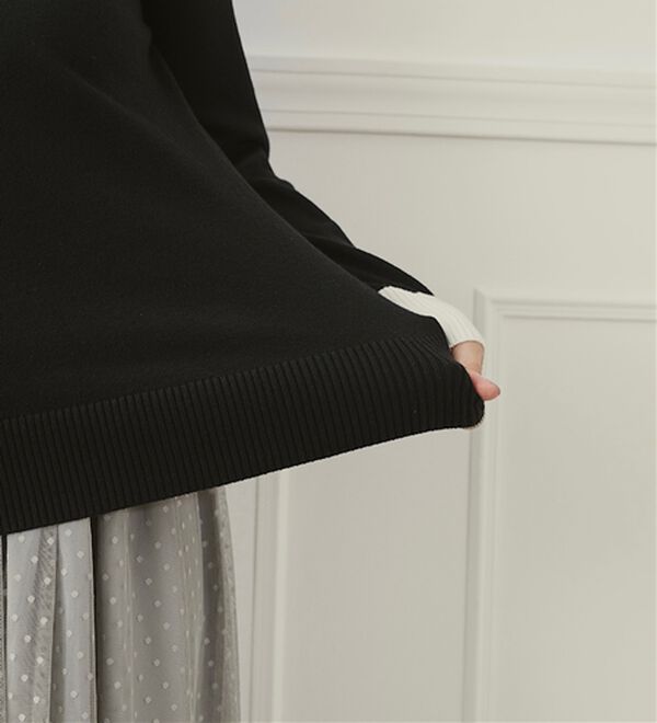 BELLUNA（ベルーナ）の「配色衿ニットプルオーバー（ニット・セーター）」｜詳細画像