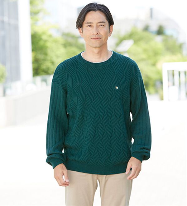 「＜アーノルド　パーマー＞綿１００％立体編レイヤードセーター（メンズニット・セーター）」｜詳細画像