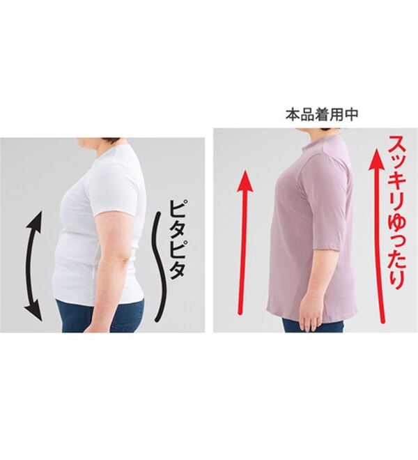 LAVIENNE（ラヴィエンヌ）の「綿１００％サイド切替スタンド衿Ｔシャツ（カットソー）」｜詳細画像