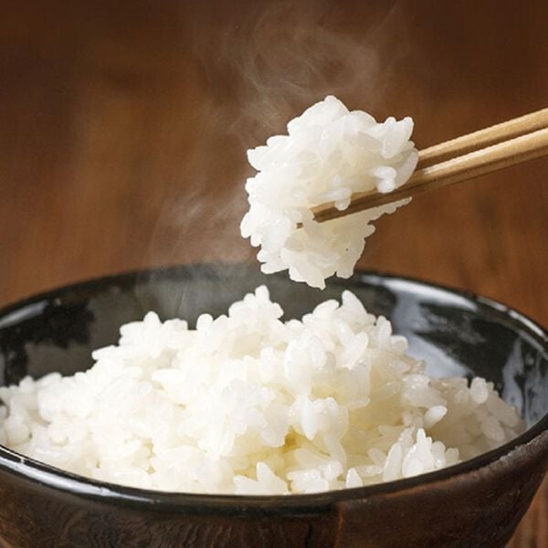 「保冷米びつライスクーラー３１ｋｇ（キッチン家電・調理家電）」｜詳細画像