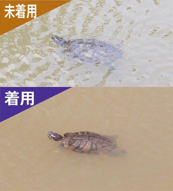 「目を守る調光偏光サングラス（メンズスポーツ用品）」｜詳細画像