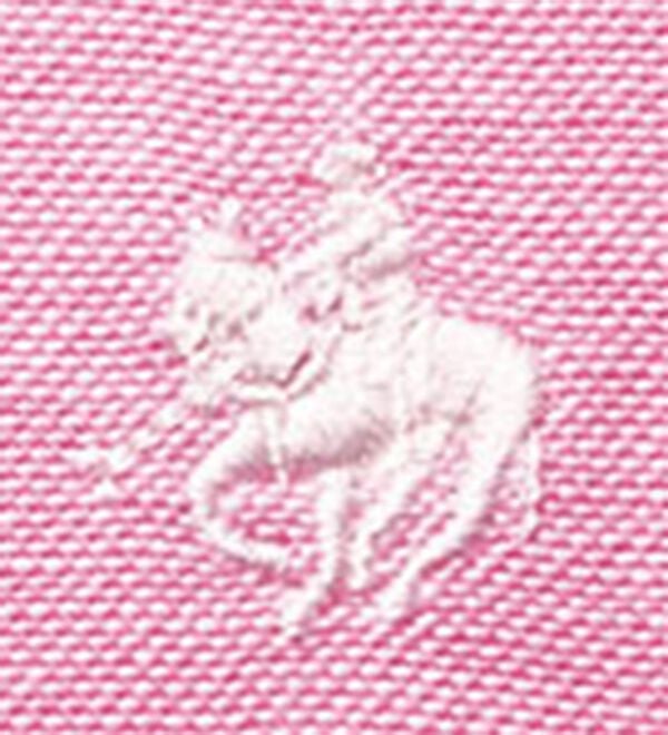 BELLUNA（ベルーナ）の「【ＰＯＬＯ　ＢＣＳ】オックス素材刺しゅうシャツ（シャツ）」｜詳細画像