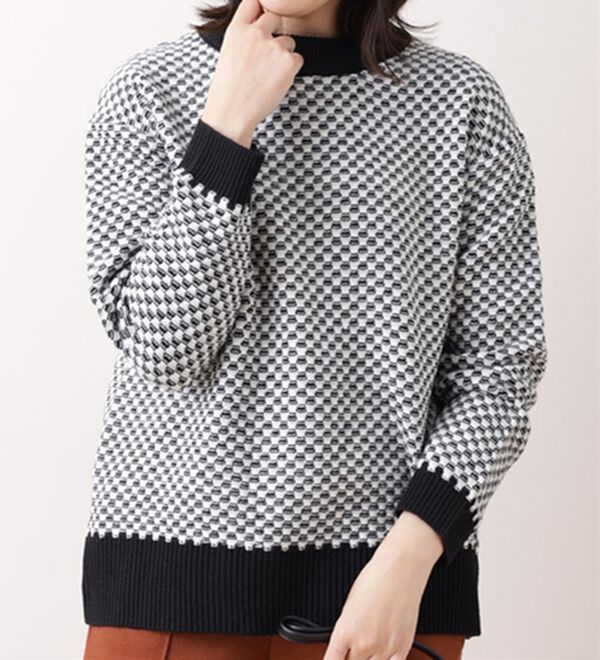 BELLUNA（ベルーナ）の「ジャカード素材ニットプルオーバー（ニット・セーター）」｜黒系