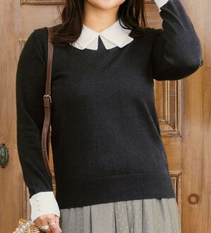 BELLUNA（ベルーナ）の「配色衿ニットプルオーバー（ニット・セーター）」｜詳細画像