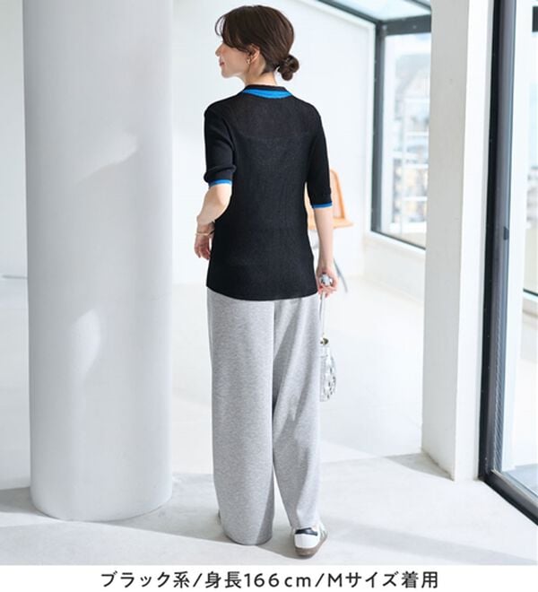 Viola e Viola（ヴィオラ エ ヴィオラ）の「アソートシアーリブニットポロシャツ（ポロシャツ）」｜詳細画像