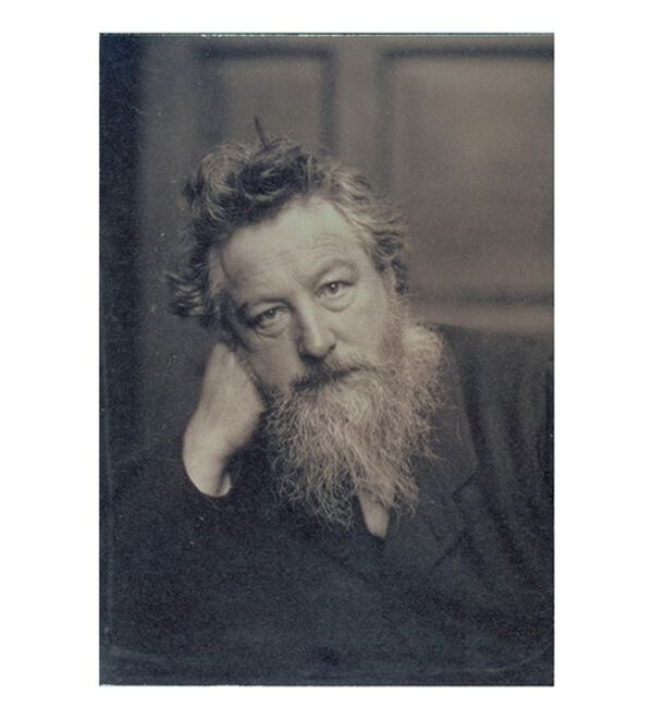 BELLUNA（ベルーナ）の「＜ウィリアムモリス柄＞プリントワンピース（プリントワンピース）」｜詳細画像