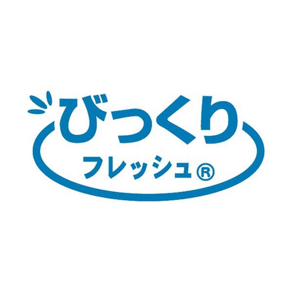 「新びっくりお風呂丸ごとバスクリーナー（掃除用品）」｜詳細画像
