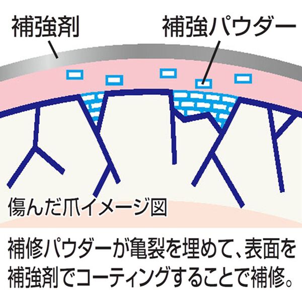 「ビューナ塗るだけ補強ネイル（コスメ・メイク小物）」｜詳細画像