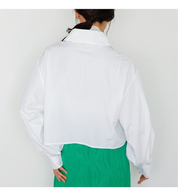 GeeRA（ジーラ）の「ストライプ柄衿付ショート丈シャツ（シャツ）」｜詳細画像