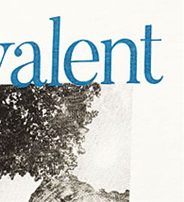 BELLUNA（ベルーナ）の「ヒンヤリ！綿１００％大人フォトプリントＴシャツ（Tシャツ）」｜詳細画像