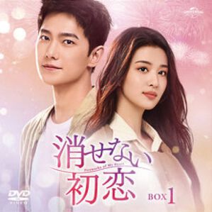 「消せない初恋（ＤＶＤ）」｜詳細画像