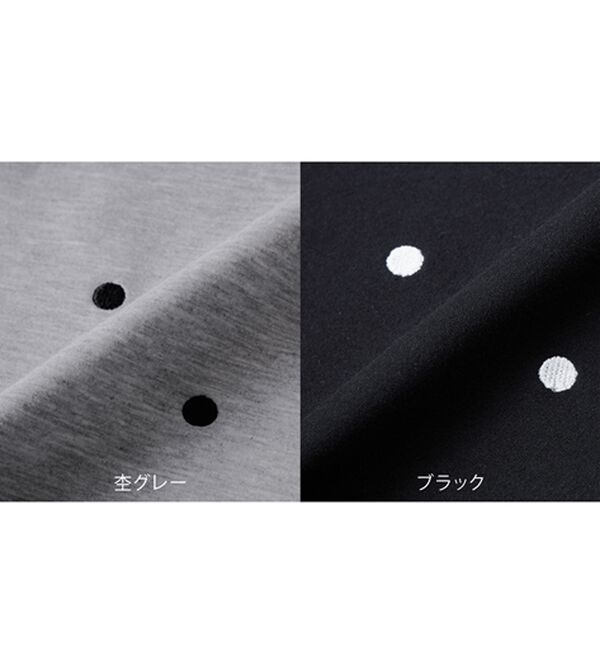 GeeRA（ジーラ）の「ドット刺繍ハーフジップダンボールトップス（カットソー）」｜詳細画像