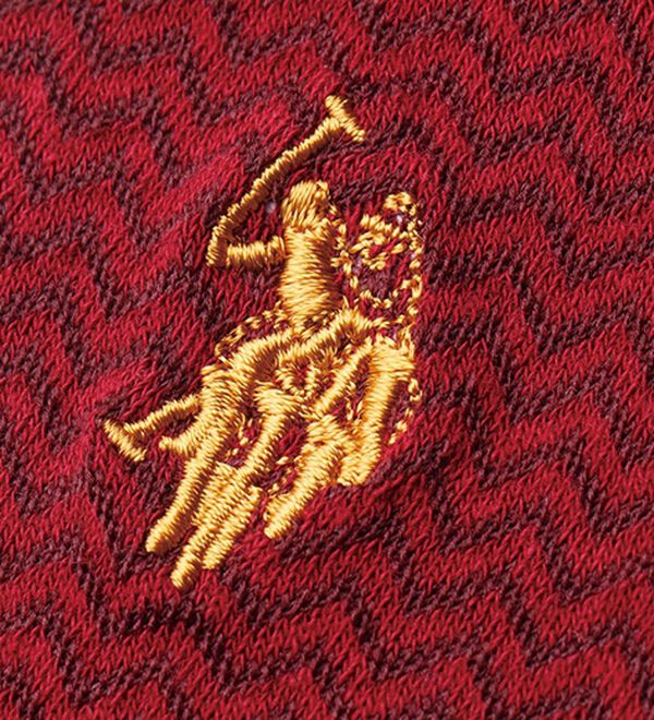 「【６足組】＜ユーエス　ポロ　アッスン＞トラッドスタイルの王道柄ソックス（メンズ靴下・タイツ）」｜詳細画像