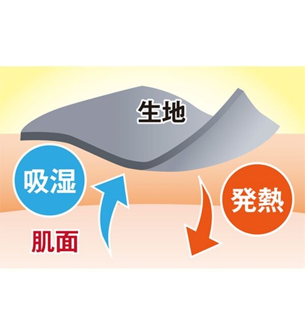 BELLUNA（ベルーナ）の「レース使い吸湿発熱プルオーバー（カットソー）」｜詳細画像