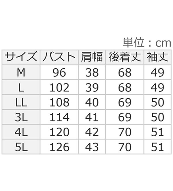 ルフラン（ルフラン）の「ドビー織ミニ衿ブラウス（ブラウス）」｜詳細画像