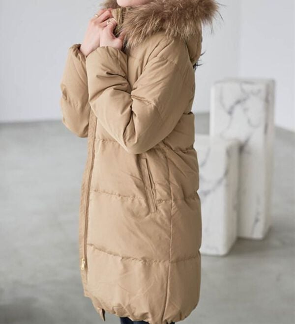 リアルファー付ダウンコート - ベルーナ【公式】