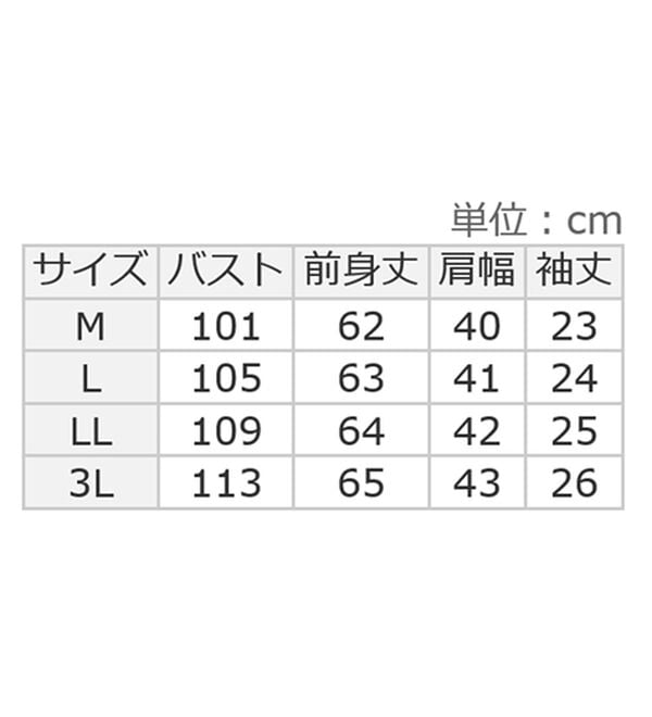 Viola e Viola（ヴィオラ エ ヴィオラ）の「ポコポコ素材ポロトップス（カットソー）」｜詳細画像