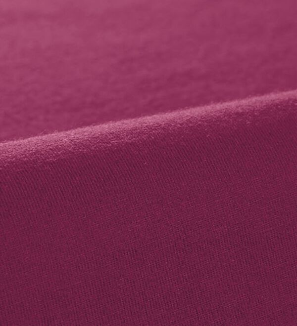 BELLUNA（ベルーナ）の「【ｃｈａｍｐｉｏｎ】配色ラインＴシャツ【UNDOVE】（Tシャツ）」｜詳細画像