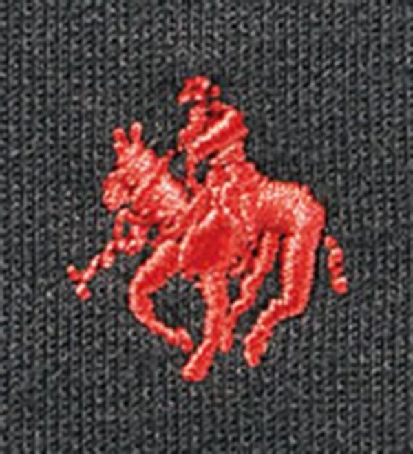 BELLUNA（ベルーナ）の「【ＰＯＬＯ　ＢＣＳ】ミニ裏毛素材デザイントップス（カットソー）」｜詳細画像