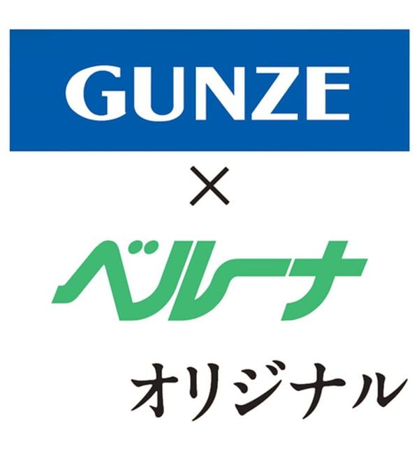 LAVIENNE（ラヴィエンヌ）の「【３枚組】＜グンゼ＞日本製　素肌の匠インナー同色３枚組（肌着・インナーウェア）」｜詳細画像