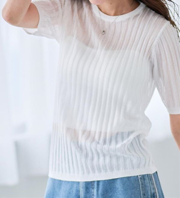 RANAN（ラナン）の「5分袖シアーラメリブニット（ニット・セーター）」｜詳細画像