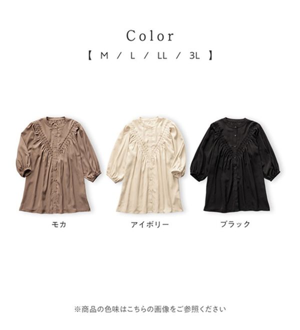 Viola e Viola（ヴィオラ エ ヴィオラ）の「Ｖ切替ピンタックアレンジブラウス（ブラウス）」｜詳細画像