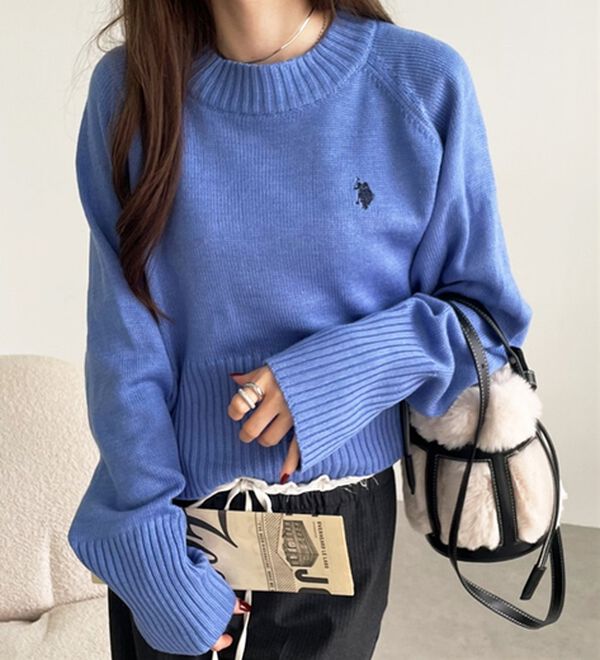 GeeRA（ジーラ）の「【ＵＳ．ＰＯＬＯ　ＡＳＳＮ】ショート丈ニット（ニット・セーター）」｜詳細画像