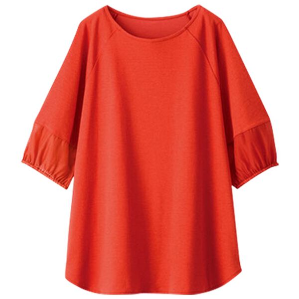 BELLUNA（ベルーナ）の「袖シアー切替デザインプルオーバー（カットソー）」｜詳細画像