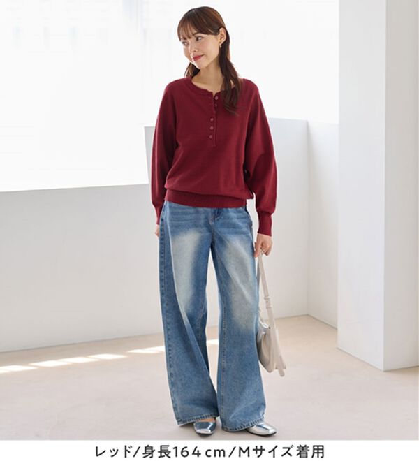 Viola e Viola（ヴィオラ エ ヴィオラ）の「【ゆったり着られる】洗える！ヘンリーネックニット（ニット・セーター）」｜詳細画像