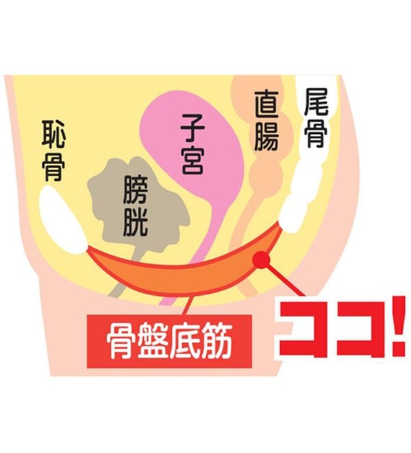 「【２色組】クロスで引きあげ骨盤底筋ショーツ（ショーツ）」｜詳細画像