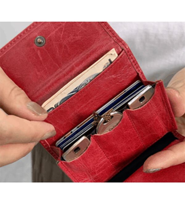 BELLUNA（ベルーナ）の「牛革コインスルーコンパクト機能財布（財布・パスケース）」｜詳細画像