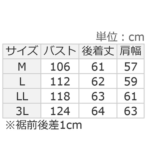 Viola e Viola（ヴィオラ エ ヴィオラ）の「さらさらＥＡＳＹスキッパーフレンチスリーブブラウス（ブラウス）」｜詳細画像