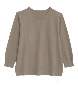 A HAPPY MARILYN（アハッピーマリリン）の「【Ｌ～８Ｌ】フィット感軽減！Ｔシャツ感覚！もっちりやわらかＶネックニット（ニット・セーター）」｜グレージュ