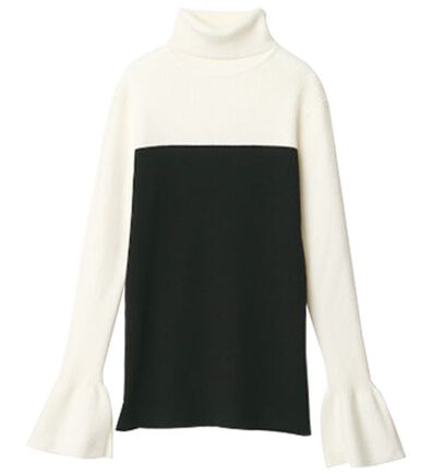 RANAN（ラナン）の「＜ムースタッチ＞洗える！バイカラータートルリブニット（ニット・セーター）」