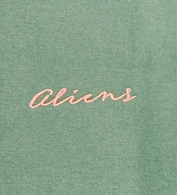 BELLUNA（ベルーナ）の「＜Ｄｉｓｎｅｙ＞【エイリアン】バックサガラ刺しゅうワイドシルエットＴシャツ（Tシャツ）」｜詳細画像