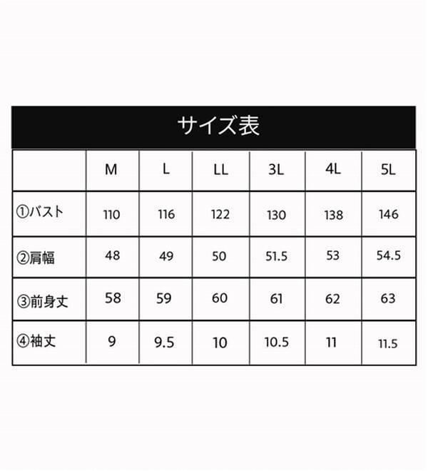 BELLUNA（ベルーナ）の「華奢見せ！後ろ美人デザインプルオーバー（カットソー）」｜詳細画像