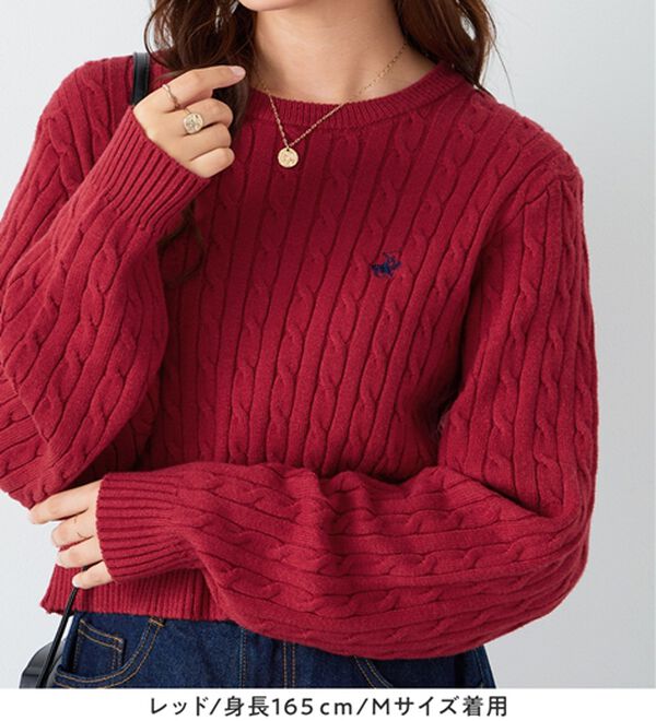 Viola e Viola（ヴィオラ エ ヴィオラ）の「【ビバリーヒルズポロクラブ】ケーブル柄ショートニット（ニット・セーター）」｜詳細画像