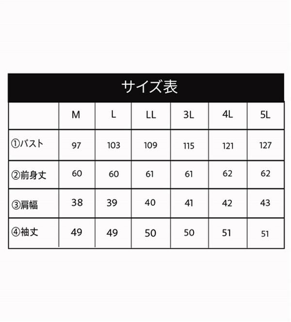 BELLUNA（ベルーナ）の「ボリューム袖美人顔バックフレアーＴブラウス（ブラウス）」｜詳細画像