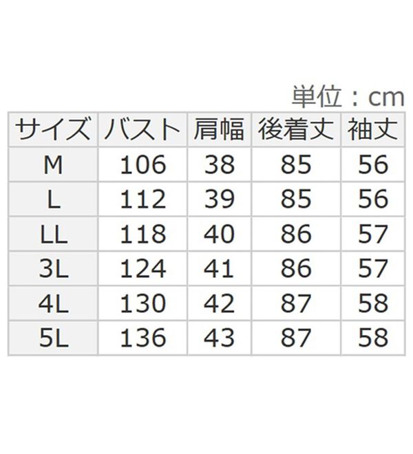 BELLUNA（ベルーナ）の「パネルストライプ柄シャツチュニック（チュニックワンピース）」｜詳細画像