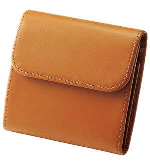 BELLUNA（ベルーナ）の「牛革コインスルーコンパクト機能財布（財布・パスケース）」｜オータムキャメル