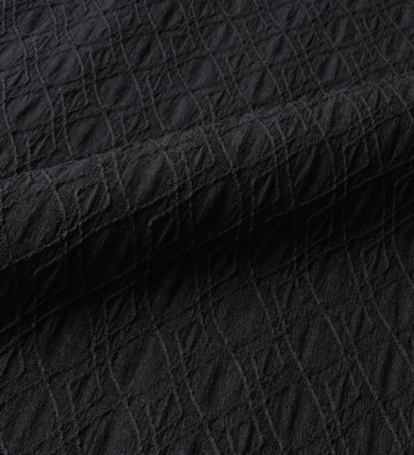 BELLUNA（ベルーナ）の「ジャカード素材チュール重ねプルオーバー（カットソー）」｜詳細画像