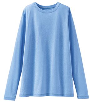 BELLUNA（ベルーナ）の「透けすぎない！シアー素材クルーネックプルオーバー（カットソー）」｜ブルー